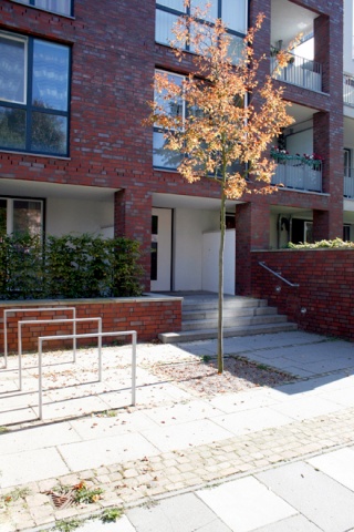 schleusengraben sept. 2011 010.jpg